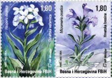 Flora of Bosnia