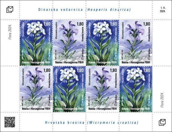 Micromeria croatica