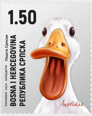 Duck