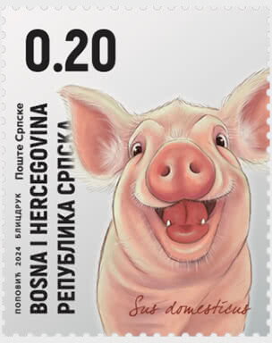 Pig