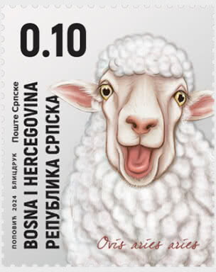Sheep