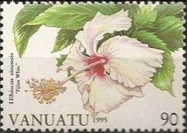 "Fijian White"