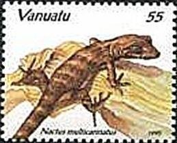 Solomons Slender-toed Gecko (Nactus multicarinatus)