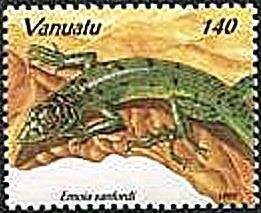 Sanford's Emo Skink (Emoia sanfordi)