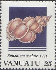 Precious Wentletrap (Epitonium scalare)