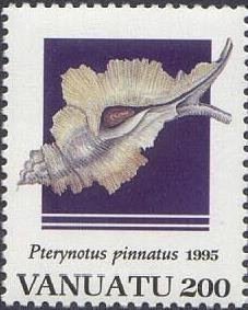 Winged Murex (Pterynotus pinnatus)