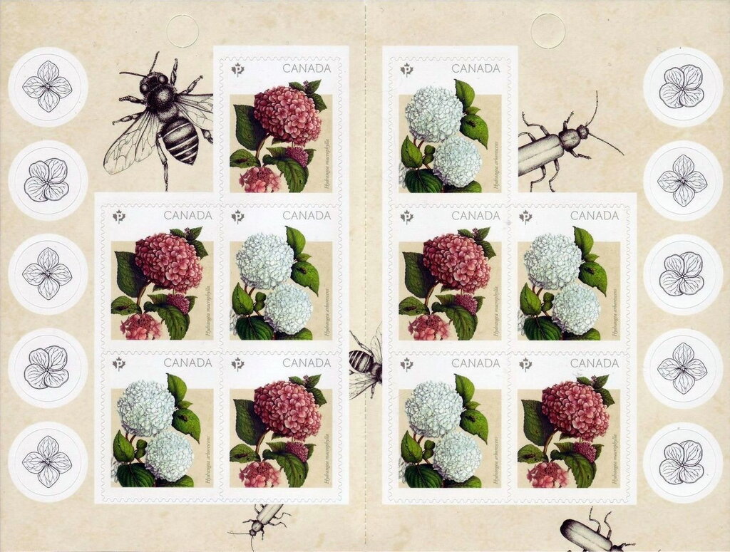 Hydrangea - Booklet pane