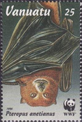 Vanuatu Flying Fox (Pteropus anetianus)
