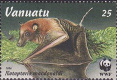 Long-tailed Fruit Bat (Notopteris macdonaldi)