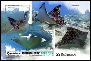 Souvenir Sheet, Aetobatus narinari, Central African Republic,  , Animals (Fauna), Fishes, Sea Life