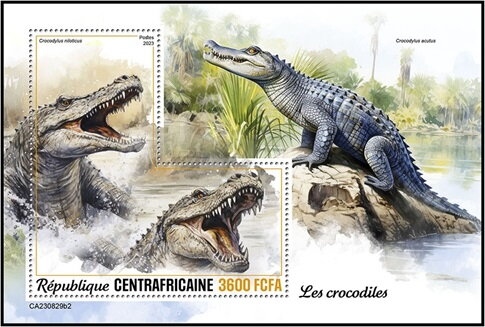 Crocodylus niloticus