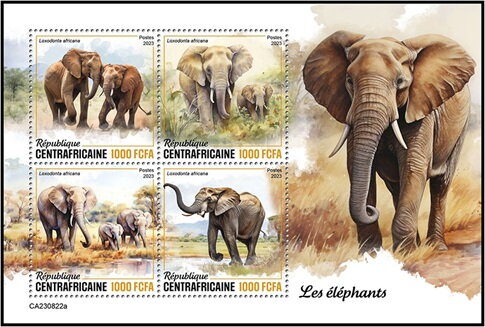 Elephants