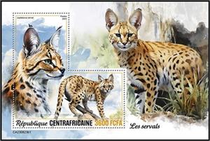 Souvenir Sheet, Leptailurus serval, Central African Republic,  , Animals (Fauna), Wild Cats