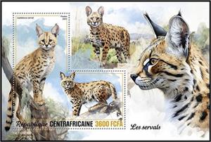 Souvenir Sheet, Leptailurus serval, Central African Republic,  , Animals (Fauna), Wild Cats