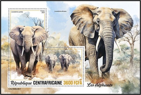 Loxodonta cyclotis