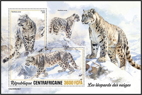 Panthera uncia
