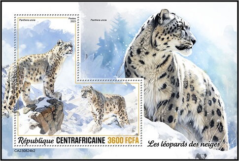 Panthera uncia