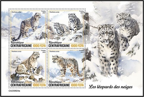 Snow Leopard