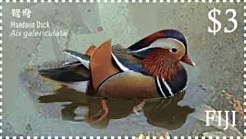 Diplomatic Relations with China, 49 Years : Birds (2024)