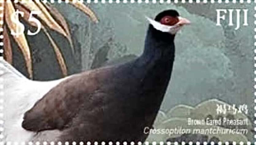 Diplomatic Relations with China, 49 Years : Birds (2024)
