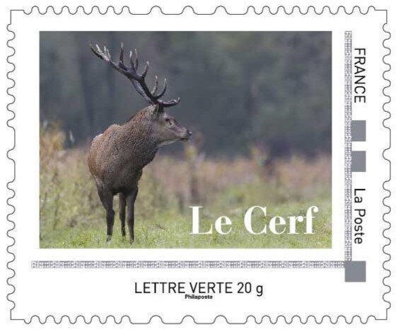 Stag in profile
