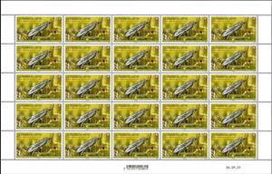 Full Pane, Crambe de Viette (Crambus viettellus), French Southern and Antarctic Lands (TAAF),  , Animals (Fauna), Insects