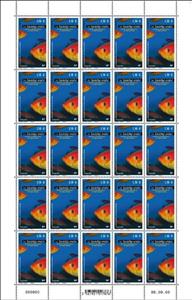 Full Pane, Suezichthys ornatus, French Southern and Antarctic Lands (TAAF),  , Animals (Fauna), Fishes, Sea Life