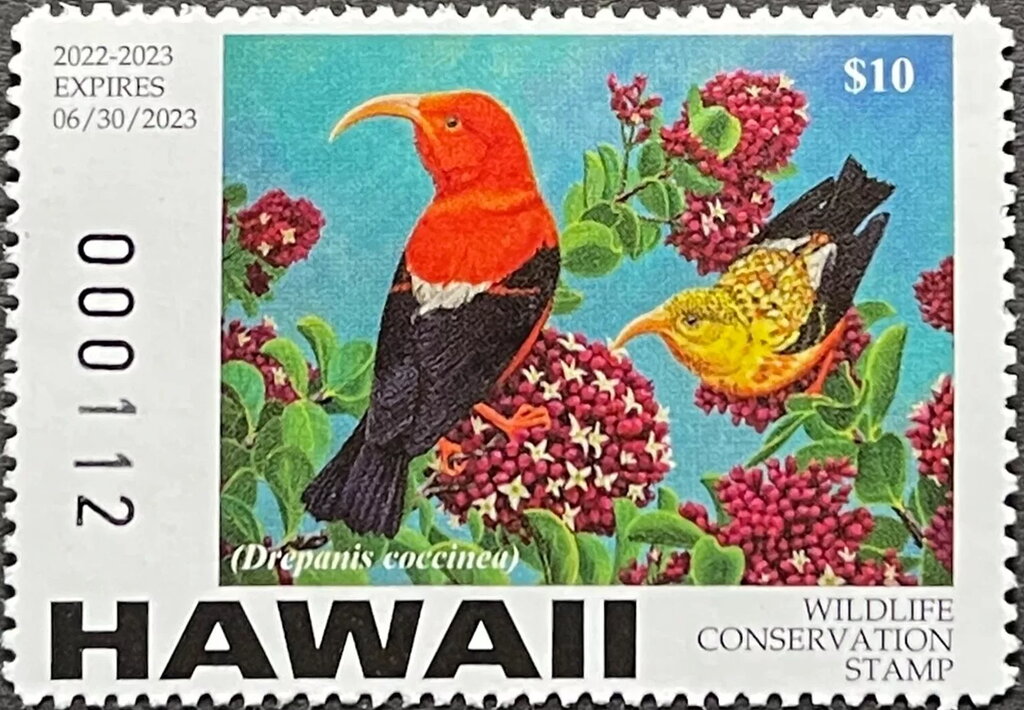ʻIʻiwi (Drepanis coccinea)