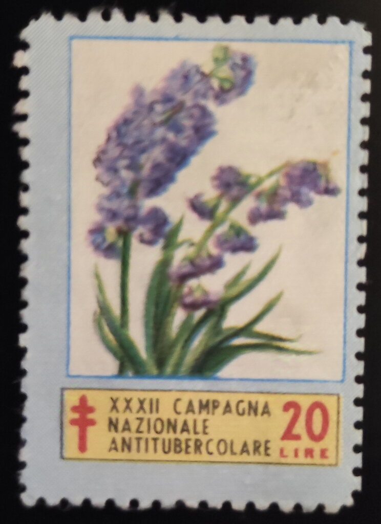 32 Anti-Tuberculosis Campaign