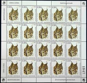 Full Pane, Lynx (Lynx lynx), Montenegro,  , Animals (Fauna), Lynx, Mammals, Wild Cats