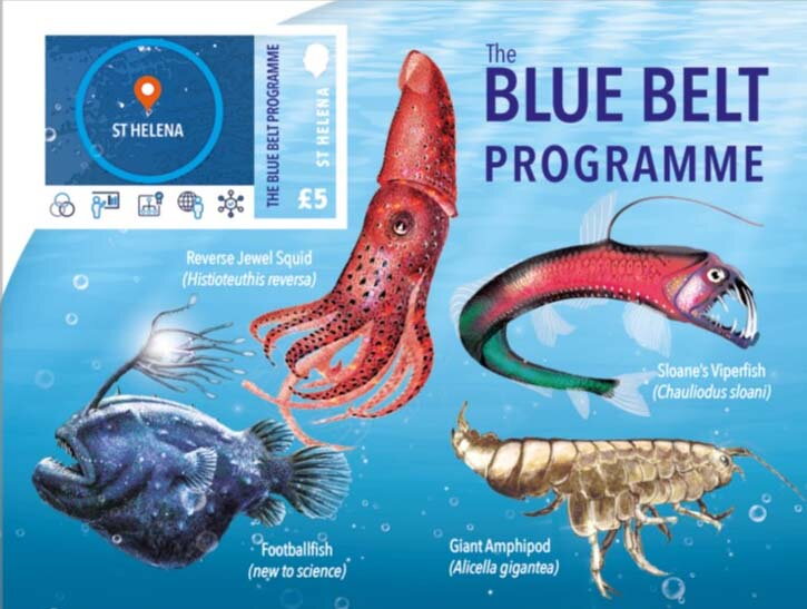 Blue Belt Marine Conservation Program