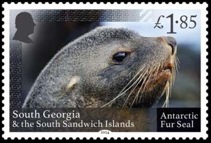 Stamp, Antarctic Fur Seal (Arctocephalus gazella), South Georgia and The South Sandwich Islands,  , Seals (Animals)