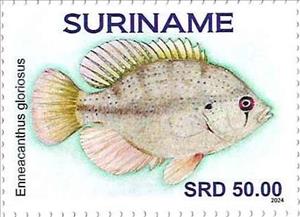 Stamp, Enneacanthus gloriosus, Suriname,  , Fishes