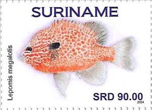 Stamp, Lepomis megalotis, Suriname,  , Fishes