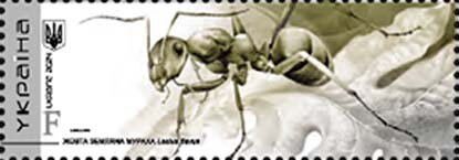 Yellow Meadow Ant (Lasius flavus)