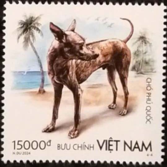 Phú Quốc Breed