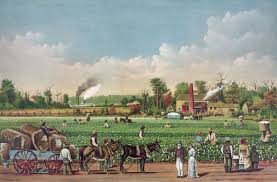 Plantations