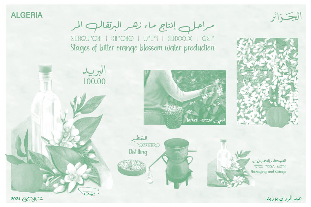 Stages of bitter orange blossom water prodution