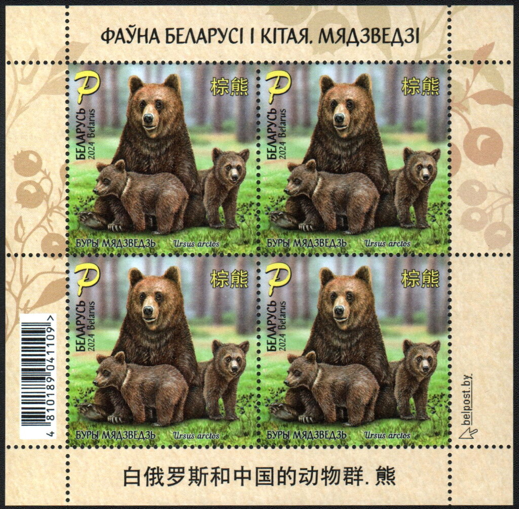 Brown Bear
