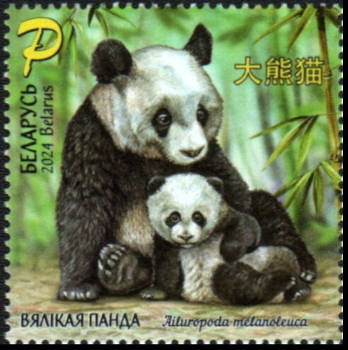 Giant panda