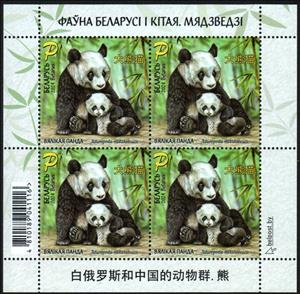 Full Pane, Giant panda, Belarus,  , Animals (Fauna), Bears, Mammals, Pandas