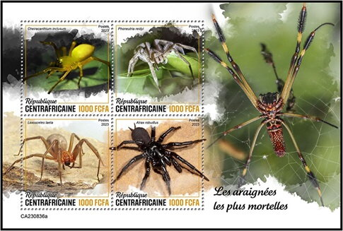 Deadliest Spiders