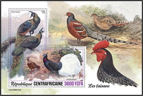 Pavo muticus and Lophura bulweri
