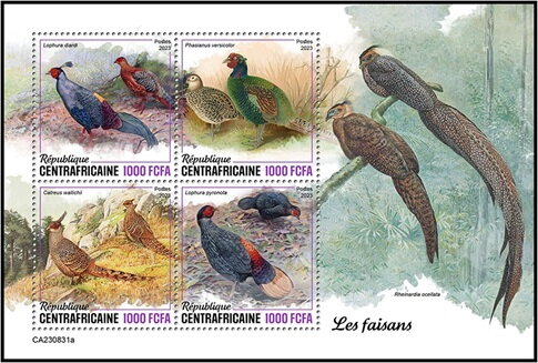 Pheasants