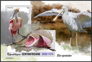Souvenir Sheet, Platalea ajaja, Central African Republic,  , Animals (Fauna), Birds
