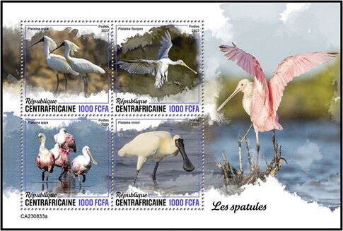 Spoonbills