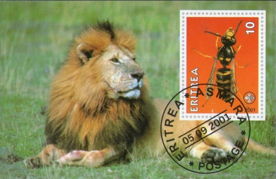 Bee (Wasp) and Lion