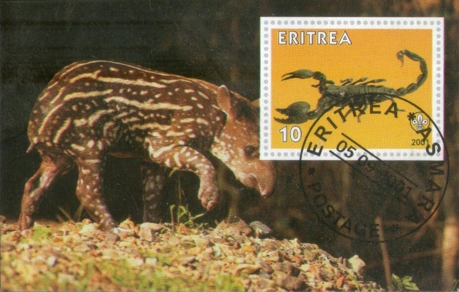 Scorpion and Tapir