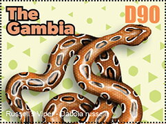 Stamp, Snake, Gambia,  , Animals (Fauna), Reptiles, Snakes