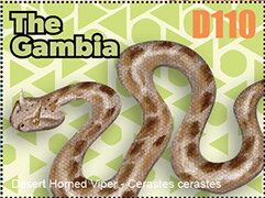 Snake